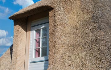 Wheston thatch roof disadvantages